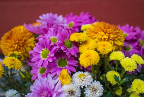 花这四种钱的老人是有福气的,有福气的老人会花这四种钱