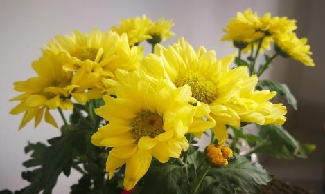 花这四种钱的老人是有福气的,有福气的老人会花这四种钱