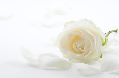 夫妻最大的矛盾是认知差吗，为什么夫妻间最大的矛盾不是价值观而是认知差