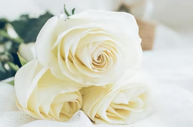 夫妻最大的矛盾是认知差吗，为什么夫妻间最大的矛盾不是价值观而是认知差