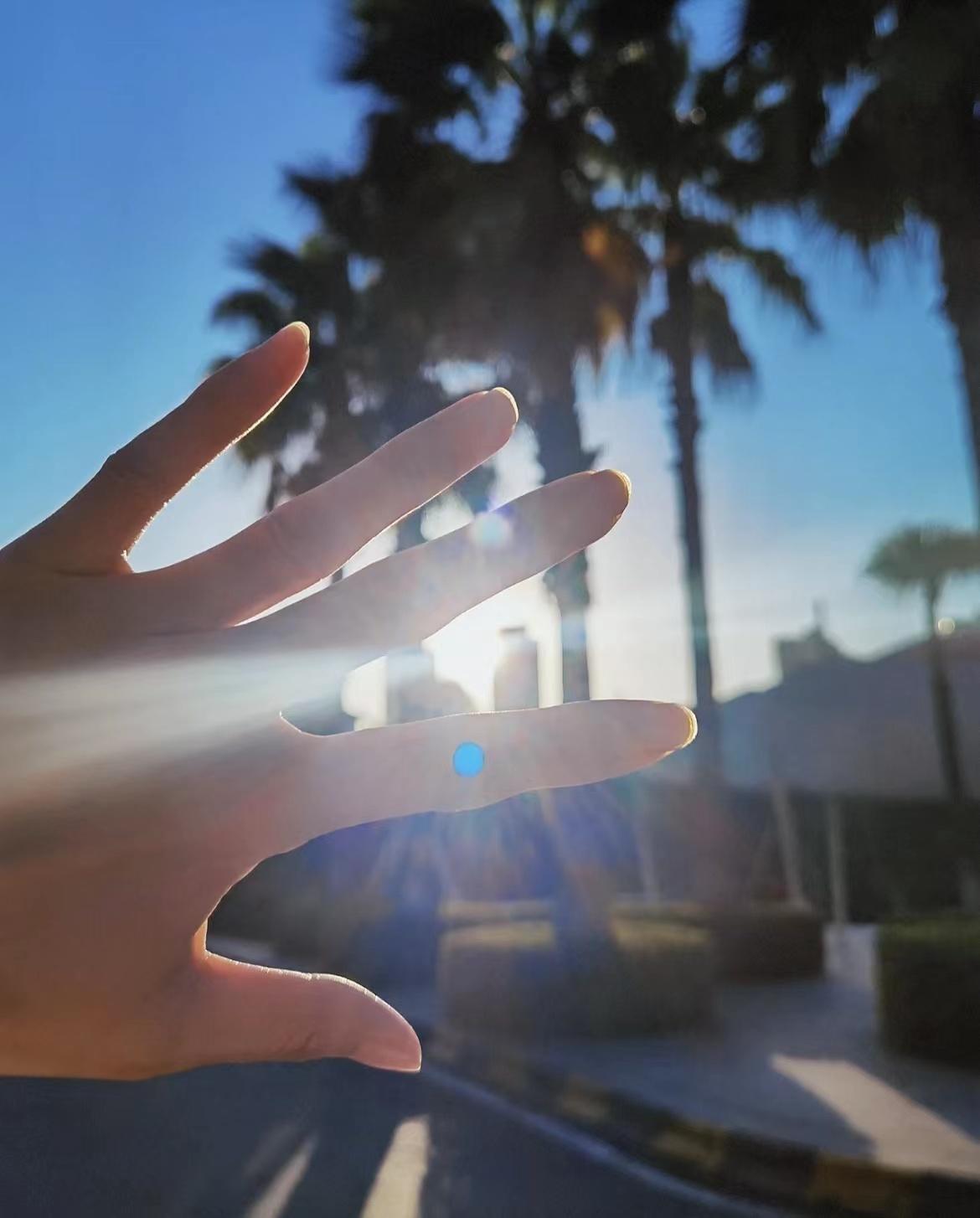 阳光透过手指唯美图片,阳光透过女孩手指唯美图片