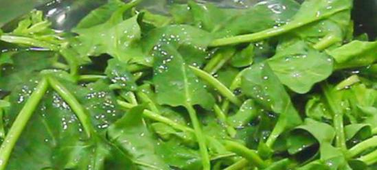 万能凉拌汁的调制方法不辣,万能凉拌汁的调制方法