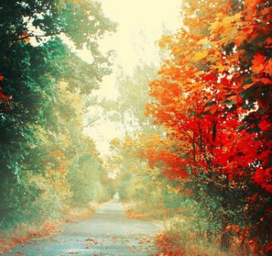 为什么男生恋爱不主动,不愿意主动的原因