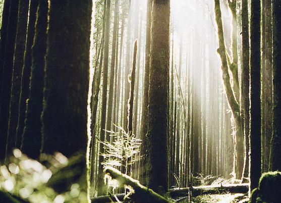 判断一个女人是否优质,怎么判断女人是否优质