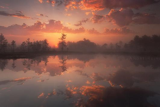 判断一个女人是否优质,怎么判断女人是否优质