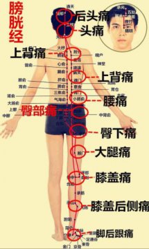 一张图了解自己哪里痛，一张图让你知道身体哪里疼