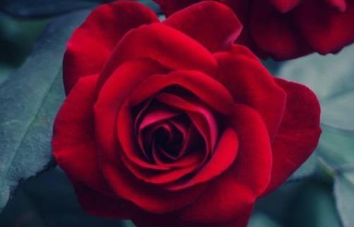 为什么中年男人最容易背叛婚姻,人到了中年都会变心吗