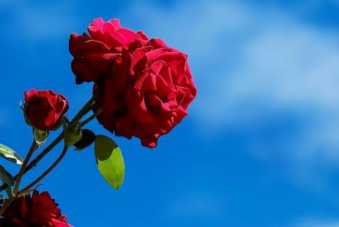 为什么中年男人最容易背叛婚姻,人到了中年都会变心吗