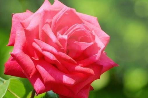 为什么中年男人最容易背叛婚姻,人到了中年都会变心吗