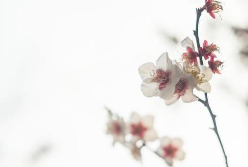 人到六十想要不孤独终老做哪四件事