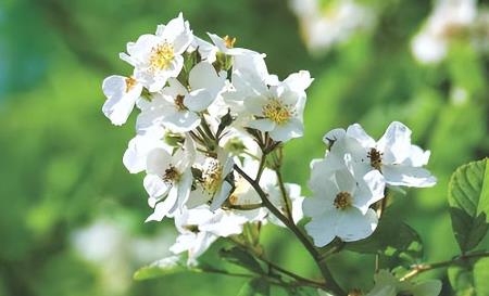 晚年的生活质量取决于什么，生活质量到底和什么有关