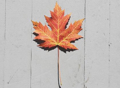 晚年独居的老年人不能做的两件糊涂事