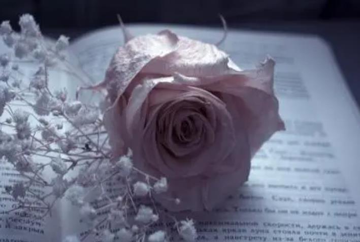 男人什么样的聊天方式代表不爱你,男人聊天有事说事是冷漠无情吗