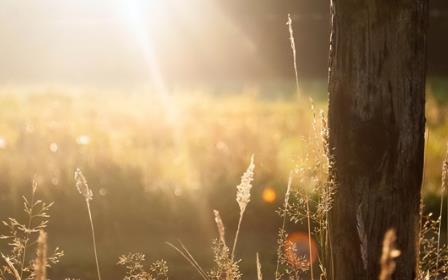 讨厌一个人高明的处理方式,如何处理自己讨厌的人