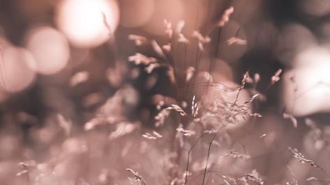 讨厌一个人高明的处理方式,如何处理自己讨厌的人