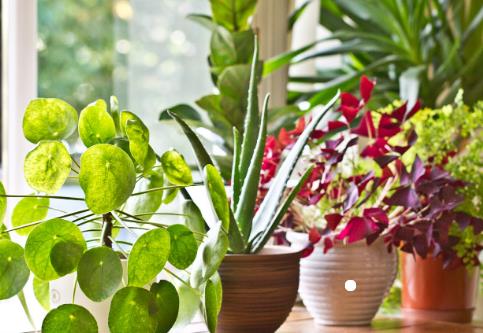 情人超过2年能分开吗,情人超过10年能分开吗