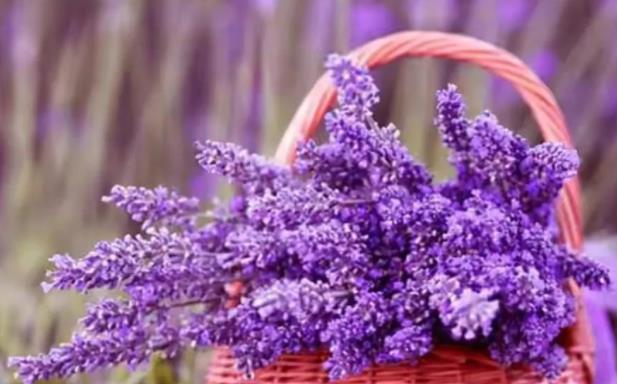 为何不可找丧偶之妻,找丧偶之妻要注意什么