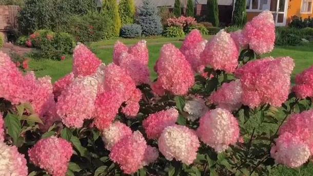 为何不可找丧偶之妻,找丧偶之妻要注意什么