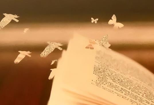 人生最高级活法五不懂,人生最高级活法无不可