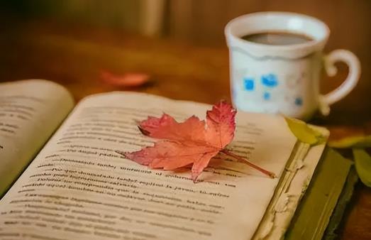 人生最高级活法五不懂,人生最高级活法无不可