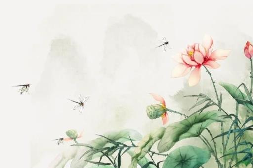 中年夫妻间真正需要的几样东西，夫妻之间到底需要什么维持感情