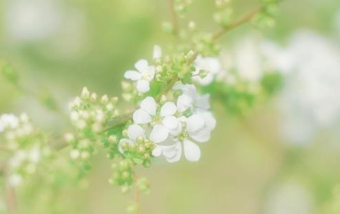 怎么判断自己是不是高估了一段关系，出尔反尔的朋友是不是不珍惜这段感情