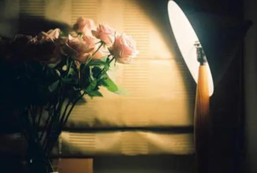 在社会打拼需要知道的定律,治愈自己的六大美句