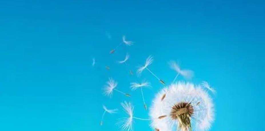 在社会打拼需要知道的定律,治愈自己的六大美句