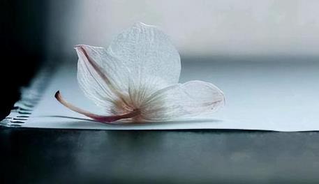 中年人为什么要保持沉默,哪几种人面前要保持沉默