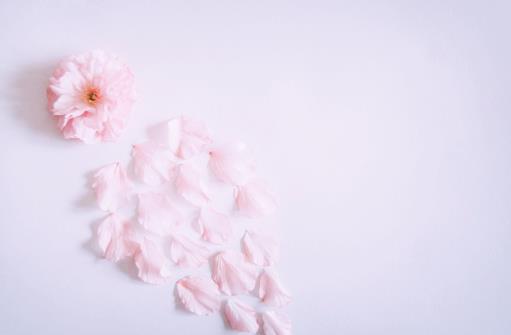 为什么婚后再难交到知心朋友，人结婚了就很难交到新朋友吗