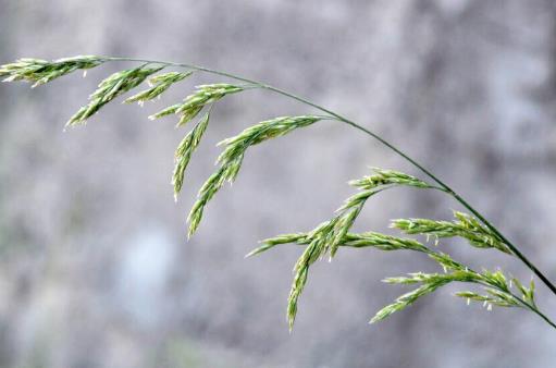 为什么有娃的前三年离婚率高，婚后生了孩子更容易离婚吗