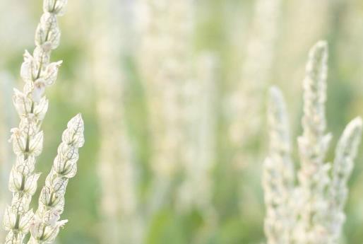 为什么有娃的前三年离婚率高，婚后生了孩子更容易离婚吗