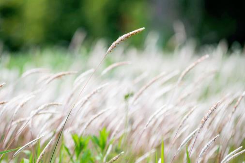 为什么有娃的前三年离婚率高，婚后生了孩子更容易离婚吗