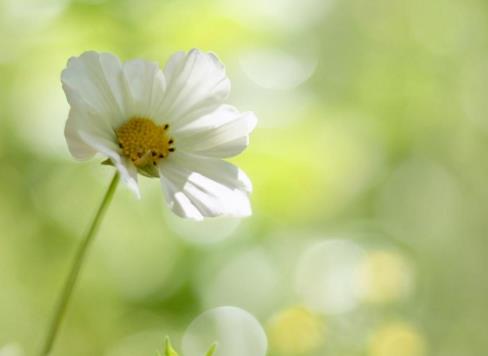 人生低谷负债累累怎么走上岸,人负债累累怎么面对生活