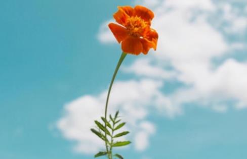 人生低谷负债累累怎么走上岸,人负债累累怎么面对生活