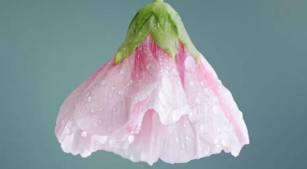 怎么判断女婿会不会对女儿好,结婚前怎么给女婿立威