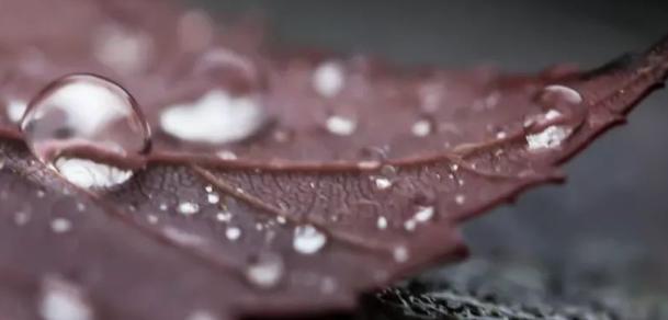 怎么判断女婿会不会对女儿好,结婚前怎么给女婿立威