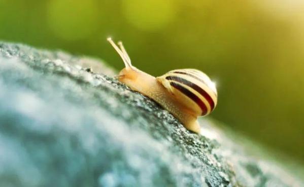 怎么判断女婿会不会对女儿好,结婚前怎么给女婿立威