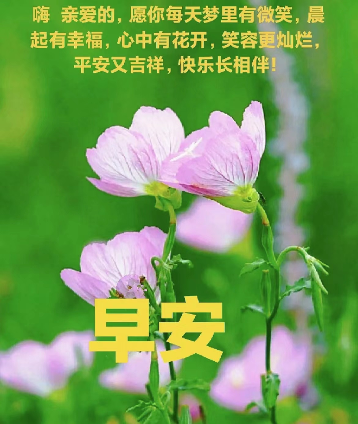 互相保重问候的图片,各自保重彼此安好图片