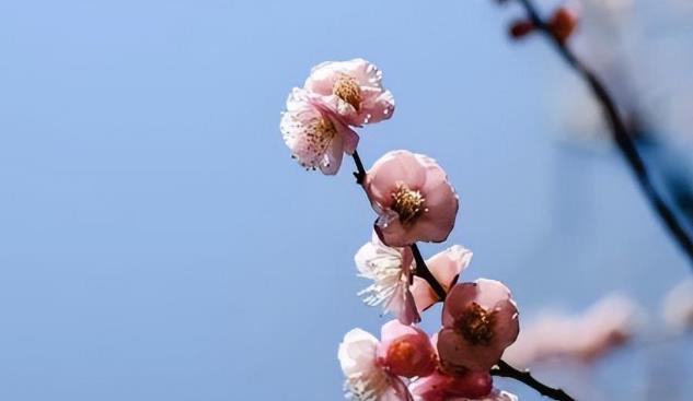 夫妻断联多久合适，夫妻断联了还能复合吗