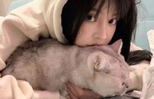 想要做一个成功的狠心人就要有三种能力