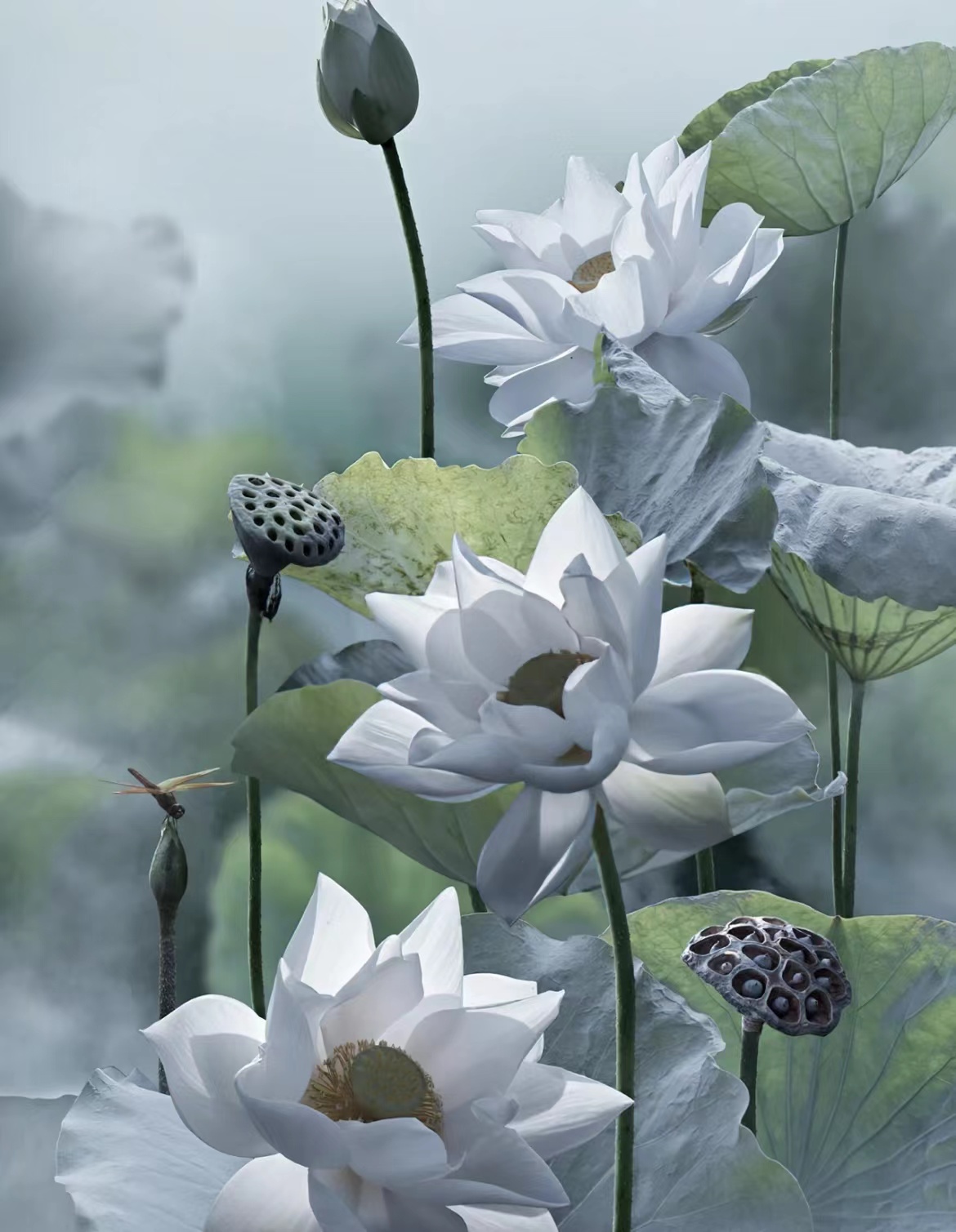 漂亮的荷花壁纸,荷花山水风景图片壁纸