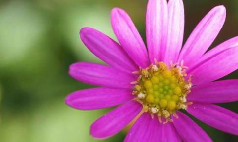 为什么夫妻间最好不要长期分开，夫妻长期不见面容易出轨吗