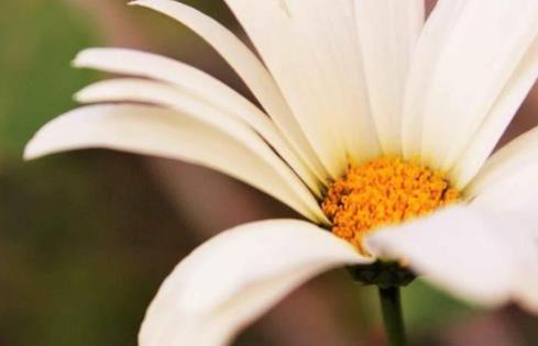 为什么夫妻间最好不要长期分开，夫妻长期不见面容易出轨吗