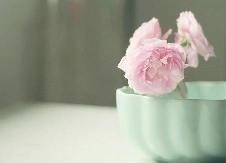 白天理性晚上感性什么意思，为什么晚上比白天更感性