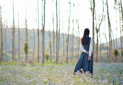 男人最想要的感情是什么,男人真正渴望的感觉是什么