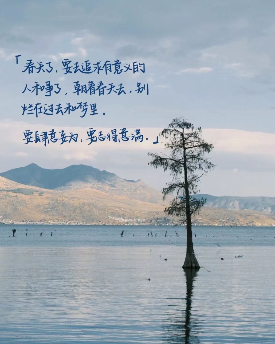 女性情感美图美文,10张好看美文美图