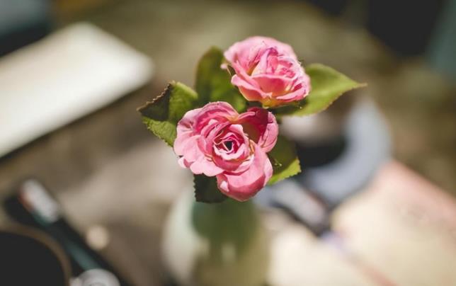 真正的灵魂伴侣相处会有怎样的磁场反应