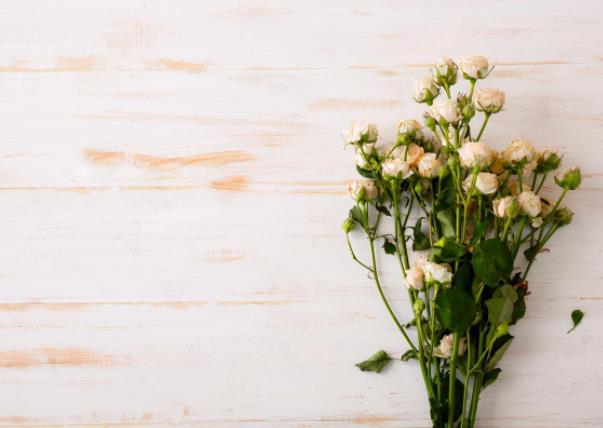 真正的灵魂伴侣相处会有怎样的磁场反应