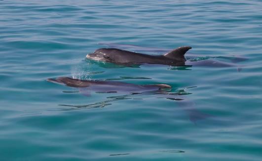 夫妻之间是越吵越离不开吗，三天两头吵架的夫妻容易离婚吗